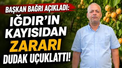 Iğdır Kayısısını Zirai Don Vurdu: Zarar 40 Milyon Dolara Ulaştı!