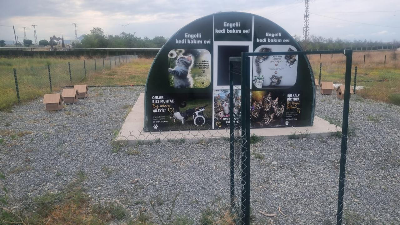 Iğdır'da Engelli Kedi Evi Hizmete Girdi
