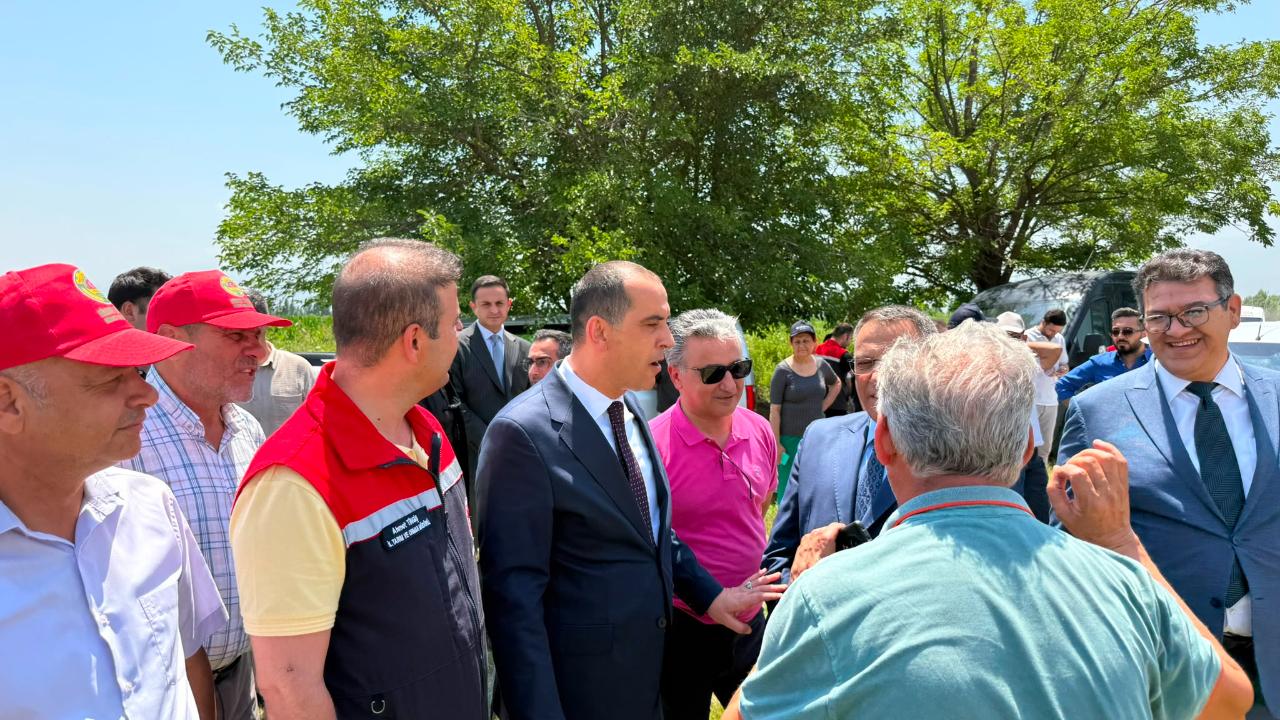 Iğdır'da Hububat Hasadı Başladı: İlk Biçimi Vali Taşolar Yaptı