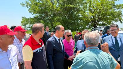 Iğdır'da Hububat Hasadı Başladı: İlk Biçimi Vali Taşolar Yaptı