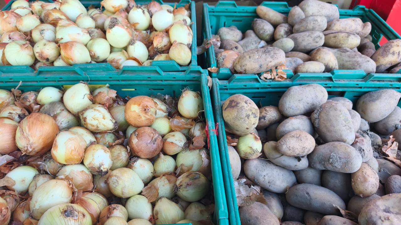 Iğdır’da Patates ve Soğan Fiyatları Zirve Yaptı: "Artık Tane İle Alıyoruz!"