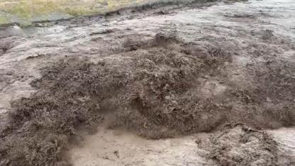 Iğdır'da Tahliye Kanalları Olası Sel Felaketini Önledi