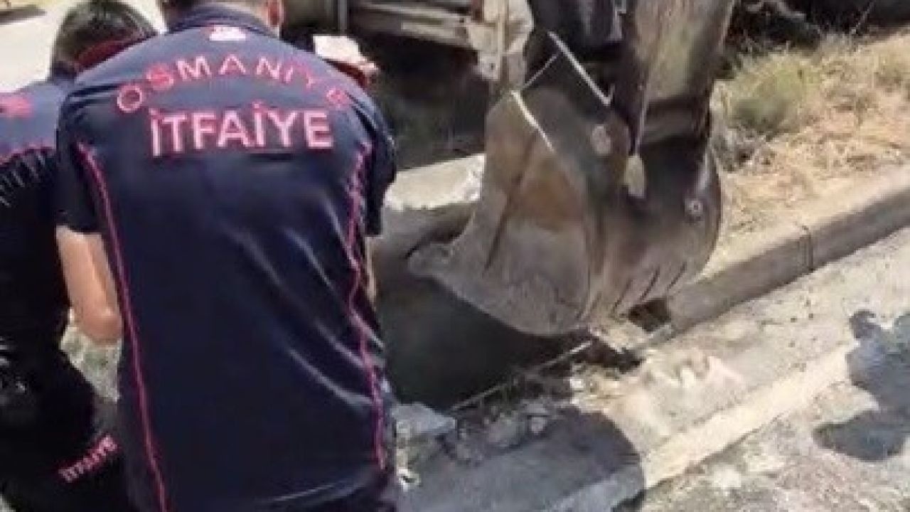 İtfaiyeden örnek çalışma: Mazgala düşen yavru kedi kurtarıldı