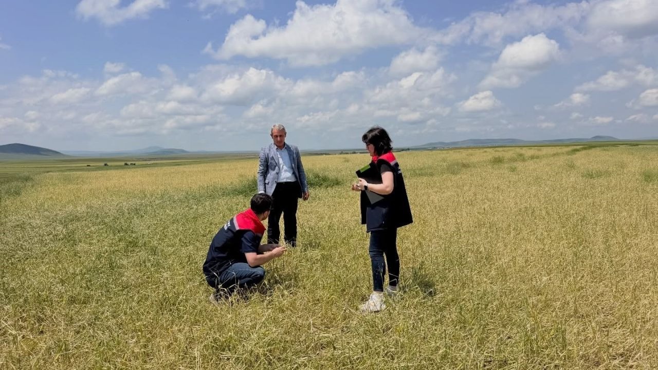 Kars’ta dolu ve fırtına felaketi: Tazekent, Yılanlı ve Yalçınlar’da hasar tespit çalışmaları sürüyor