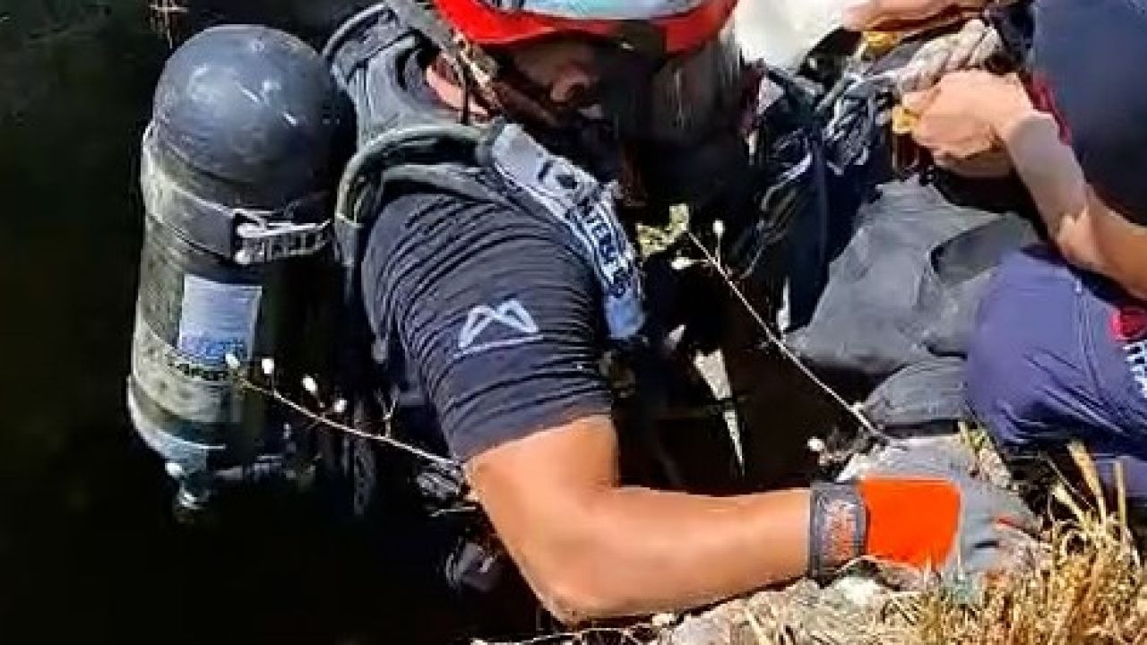 Kuyuya düşen keçi kurtarıldı
