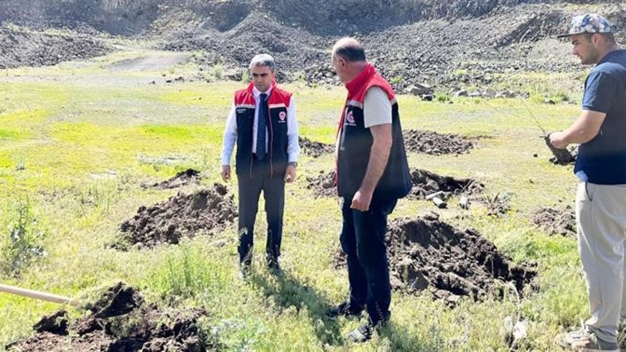 Palandöken’de 10 bin tuz çalısı fidanı toprakla buluştu