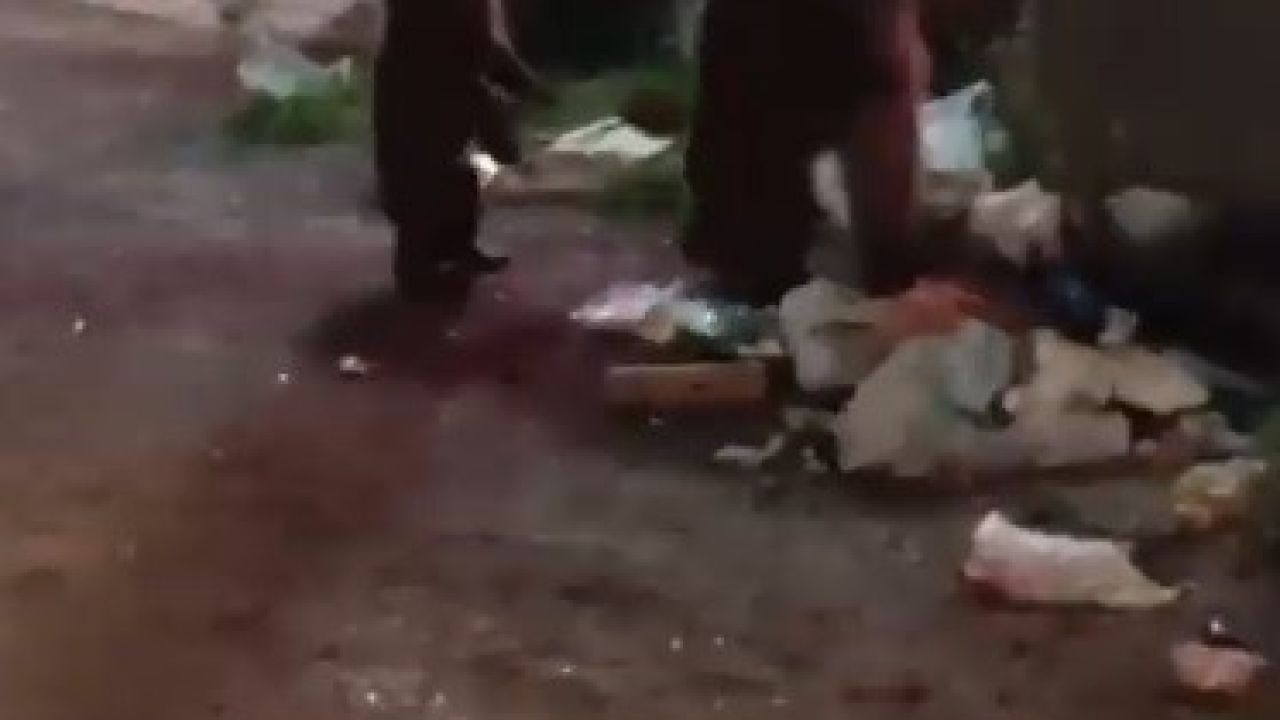 Sarıkamış’ta Ayı Ailesine Türkü Söyledi: Sosyal Medyada İzlenme Rekoru Kırdı