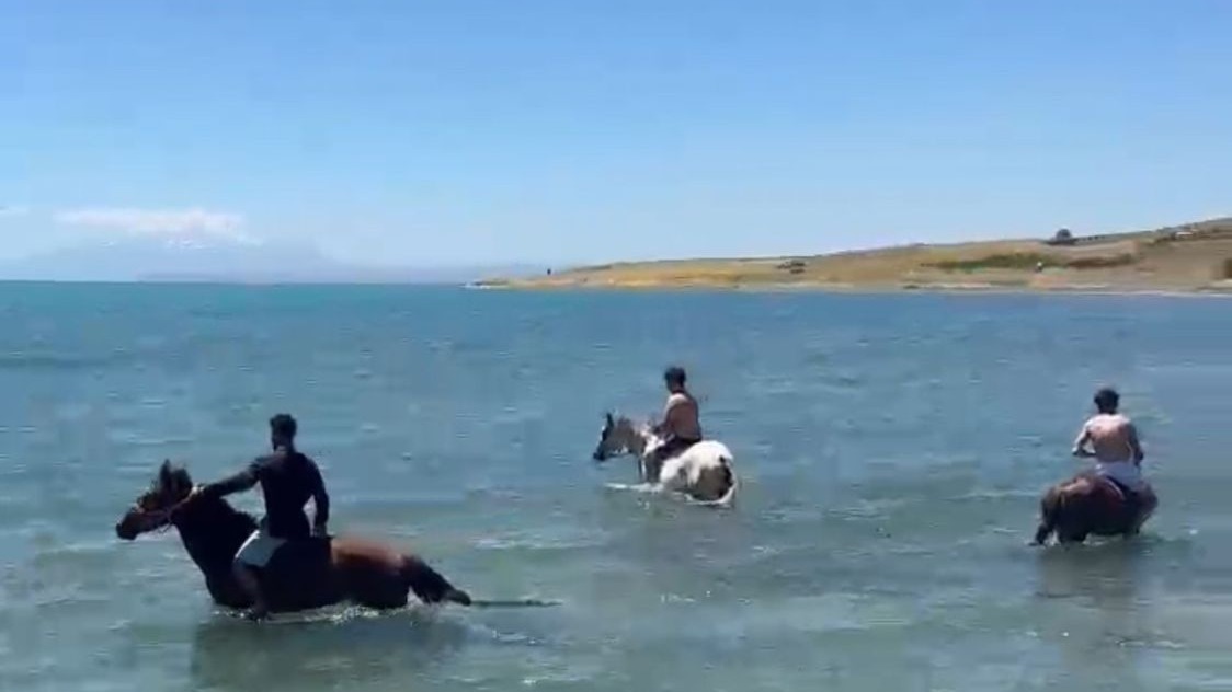 Sıcaktan bunalan gençler atlarıyla Van Gölü’nde serinledi