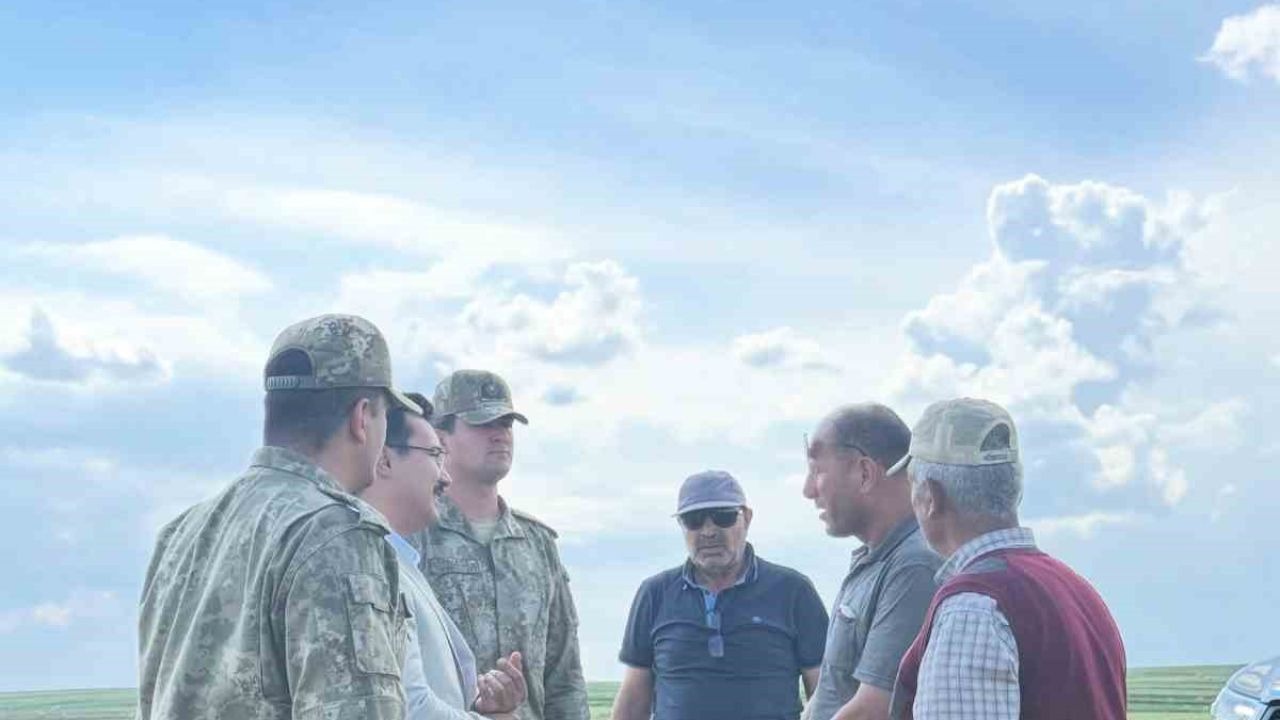 Sınır hattında ulaşım kolaylaşıyor: Devriye yolu projesinde çalışmalar sürüyor