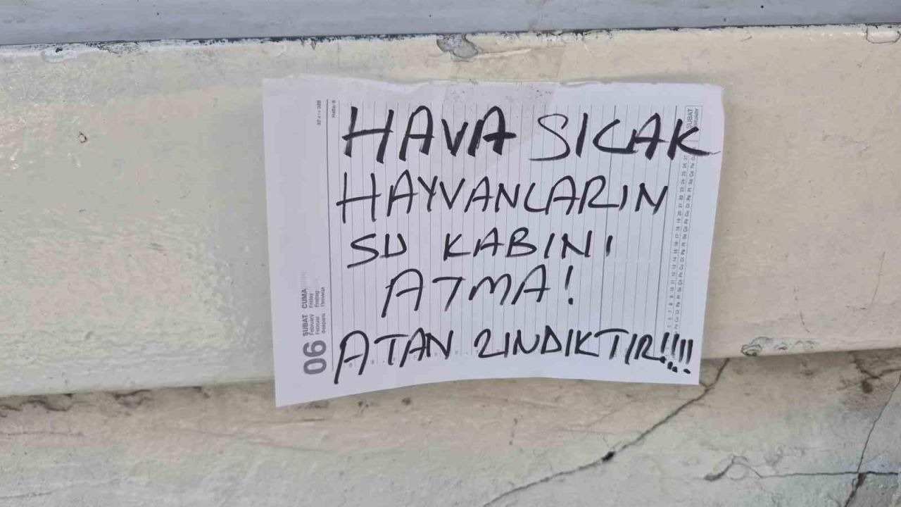 Sokak hayvanları için dikkat çeken uyarı: "Atan zındıktır"