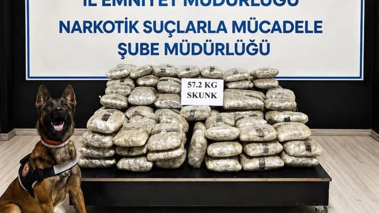 Yüksekova'da Durdurulan Araçtan Çuvallarla Skunk Çıktı