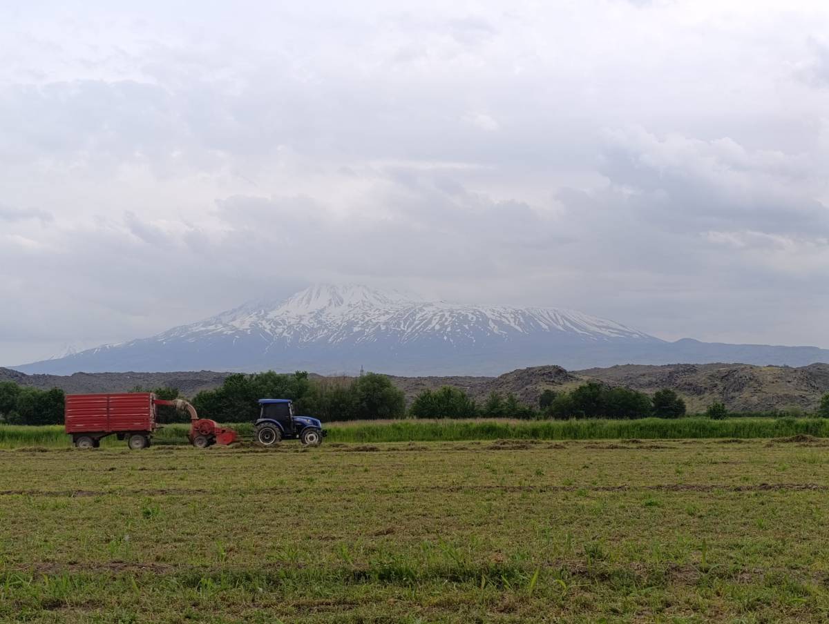 Doğu’nun Çukurovası Iğdır'da Yağmur Durdu, Yonca Hasadı Hız Kazandı