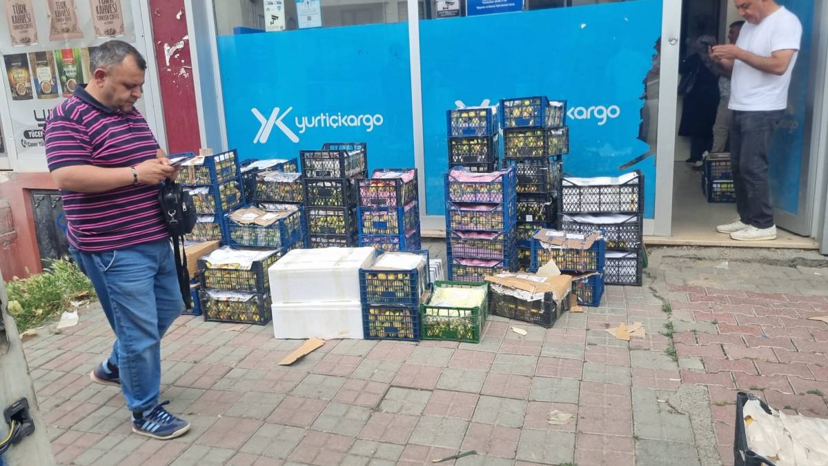 Iğdır Kayısı Hasadıyla Kargo Firmalarında Yoğunluk Yaşanıyor