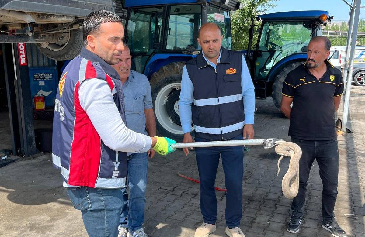 Tuzluca’da Araca Giren Yılan İtfaiye Ekiplerince Çıkarıldı