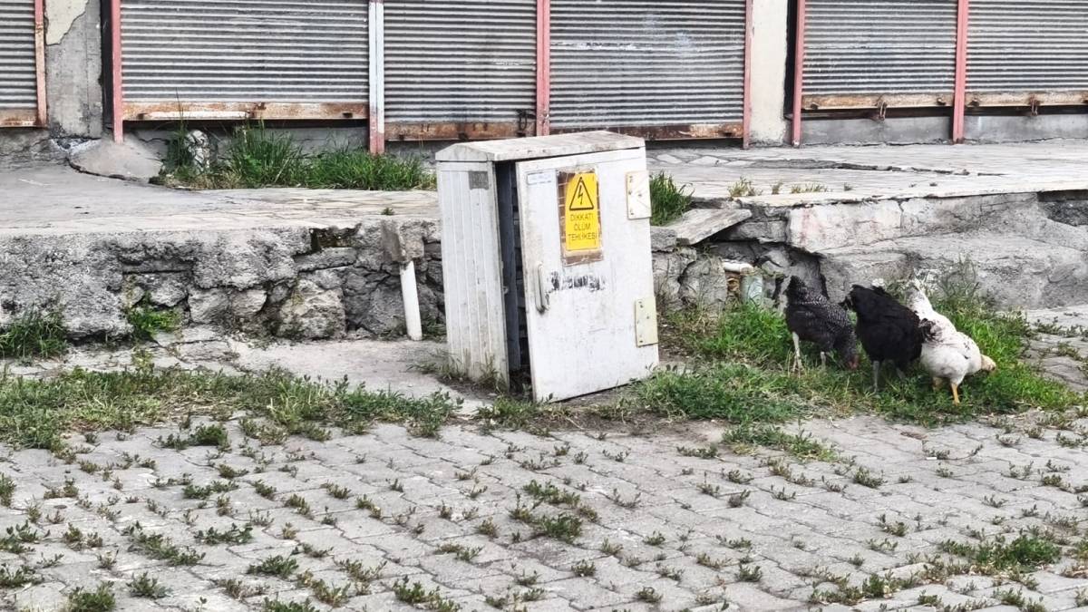 Iğdır’da kapağı açık trafo tehlike saçıyor