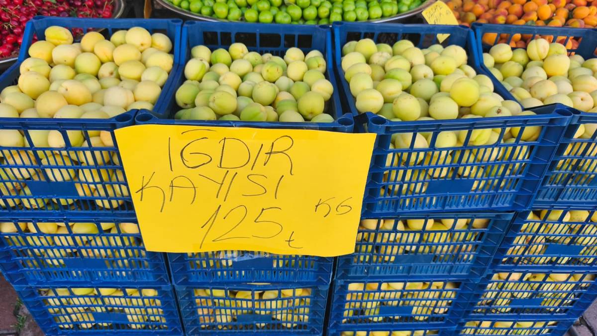 Iğdır’ın Simgesi Kayısı Tezgahlarda