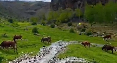 Tuzluca İlçemizde görşel şölen